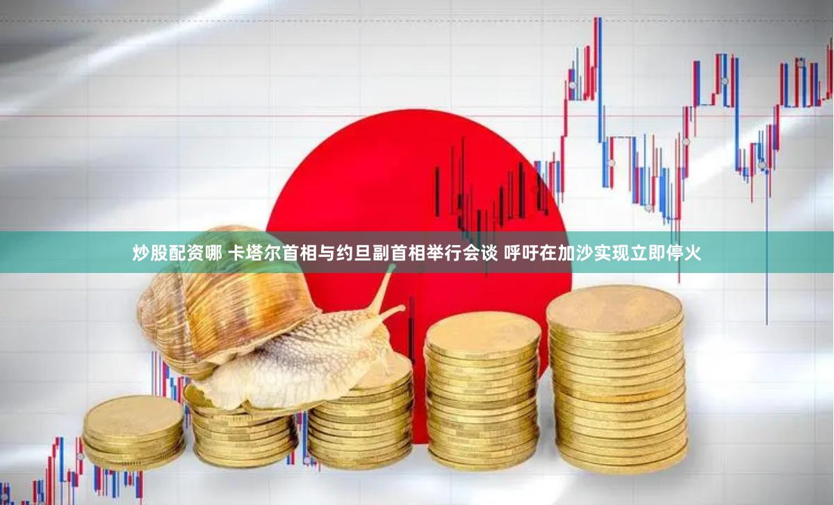 炒股配资哪 卡塔尔首相与约旦副首相举行会谈 呼吁在加沙实现立即停火