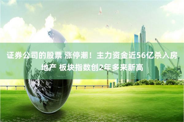 证券公司的股票 涨停潮！主力资金近56亿杀入房地产 板块指数创2年多来新高