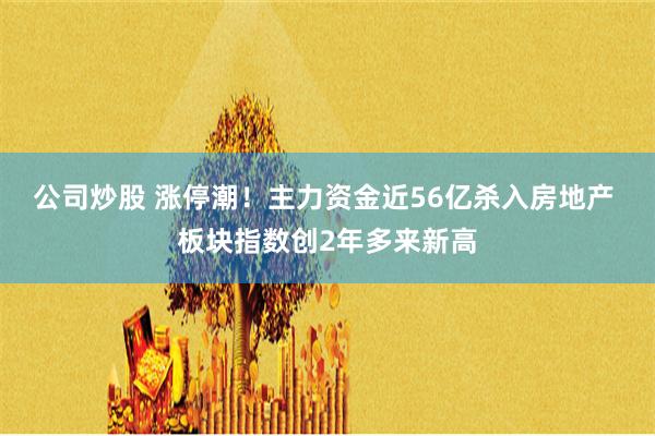 公司炒股 涨停潮！主力资金近56亿杀入房地产 板块指数创2年多来新高