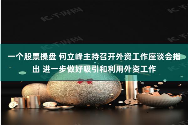 一个股票操盘 何立峰主持召开外资工作座谈会指出 进一步做好吸引和利用外资工作