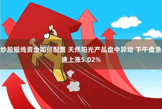 炒股短线资金如何配置 天然阳光产品盘中异动 下午盘急速上涨5.02%