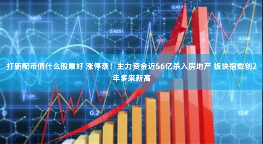 打新配市值什么股票好 涨停潮！主力资金近56亿杀入房地产 板块指数创2年多来新高
