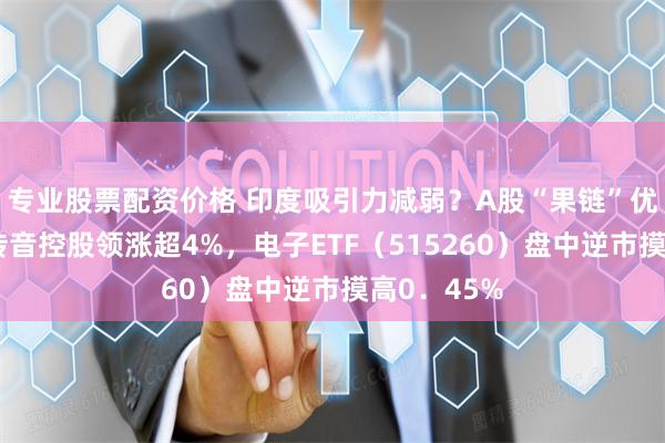 专业股票配资价格 印度吸引力减弱？A股“果链”优势明显！传音控股领涨超4%，电子ETF（515260）盘中逆市摸高0．45%