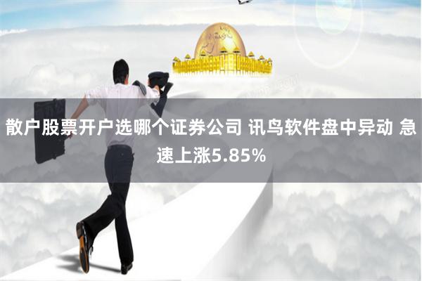 散户股票开户选哪个证券公司 讯鸟软件盘中异动 急速上涨5.85%
