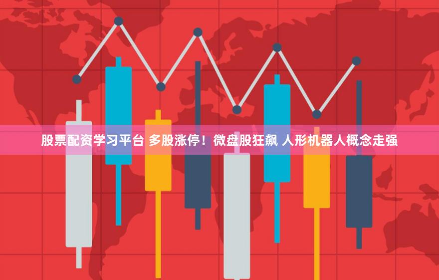 股票配资学习平台 多股涨停！微盘股狂飙 人形机器人概念走强